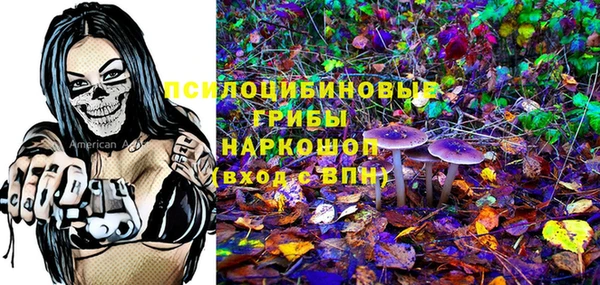 apvp Белокуриха