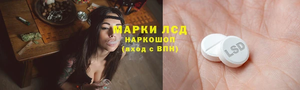 сатива Богданович