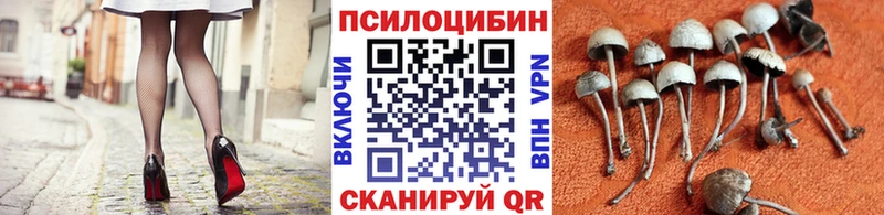 Псилоцибиновые грибы GOLDEN TEACHER  Купить  Камень-на-Оби 