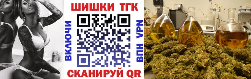 Бошки марихуана Amnesia  Купить закладки  Камень-на-Оби 